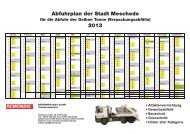 Abfallkalender 2013 DSD Deutschland (gelbe Tonne) - Meschede