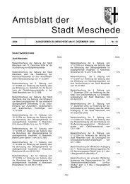 Amtsblatt Nr. 18, erschienen am 21. Dezember 2004 - Meschede