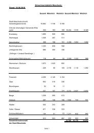 Einwohnerstatistik 2010 - Meschede