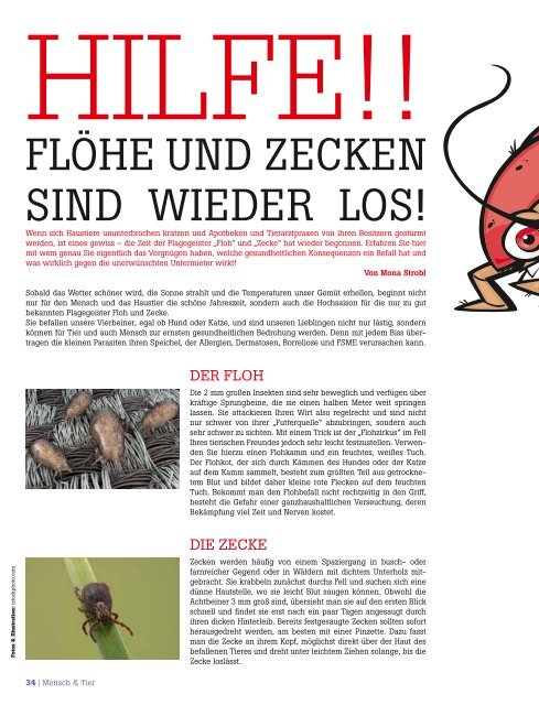 ..und der Schörner im 2700-Gespräch - das City Magazin