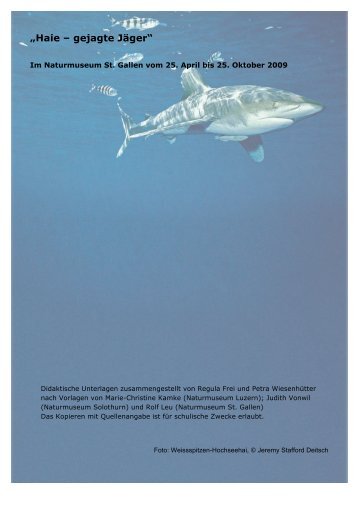 „Haie – gejagte Jäger“ - Naturmuseum St.Gallen