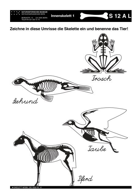 S - Naturhistorisches Museum Bern