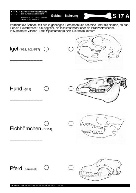 S - Naturhistorisches Museum Bern