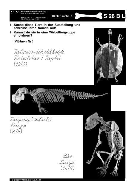 S - Naturhistorisches Museum Bern