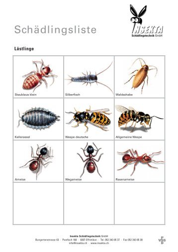 Schädlingsliste - INSEKTA