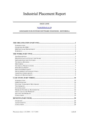 Industrial Placement Report - Lane, Dale