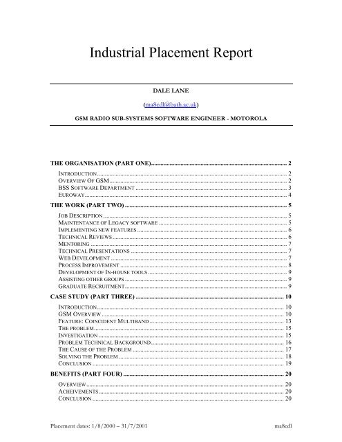 Industrial Placement Report - Lane, Dale