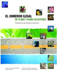 El comercio Ilegal de flora y fauna silvestres - Observatorio de la ...