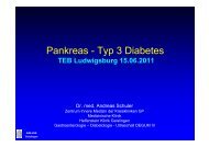 Pankreopriver Diabetes und seine Folgen