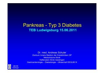 Pankreopriver Diabetes und seine Folgen