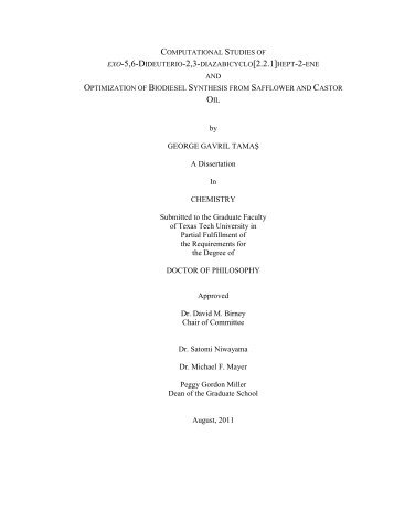 by GEORGE GAVRIL TAMAŞ A Dissertation In CHEMISTRY ...