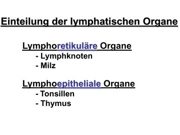 Lymphatische Organe