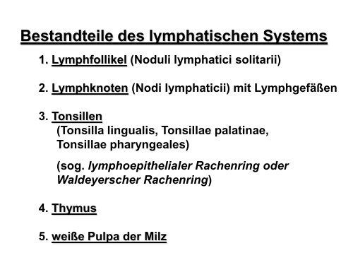 Lymphatische Organe