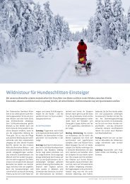 Wildnistour für Hundeschlitten-einsteiger