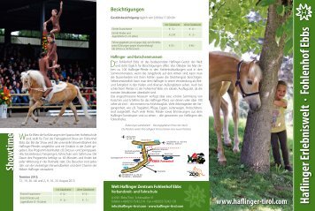 Haflinger Erlebnisw elt · Fohlenhof Ebbs - Haflinger Tirol