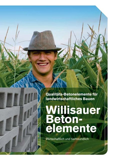 Willisauer Qualitäts-Betonelemente