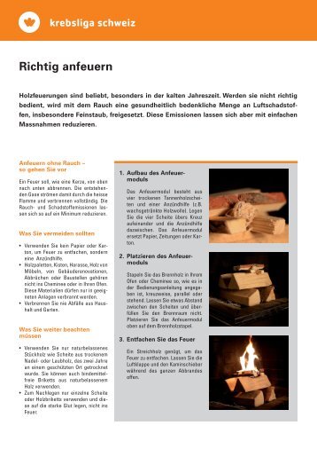 Faktblatt Holzfeuerung - Richtig anfeuern - Krebsliga Schweiz