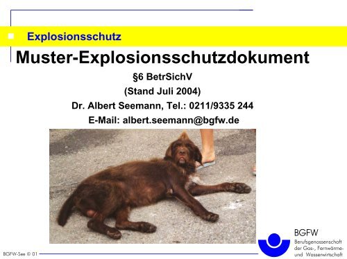 Muster-Explosionsschutzdokument