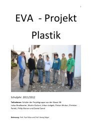 Projekt Plastik - der ofl-auer