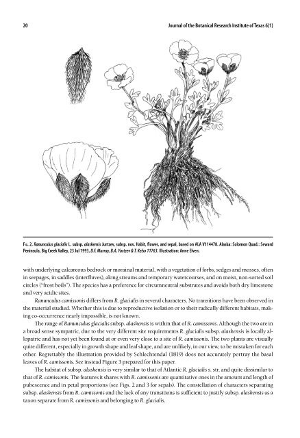 Boris A. Yurtzev David F. Murray Reidar Elven - Botanical Research ...