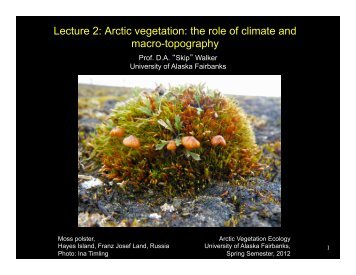 Lecture 2: Arctic vegetation: the role of climate and macro-topography