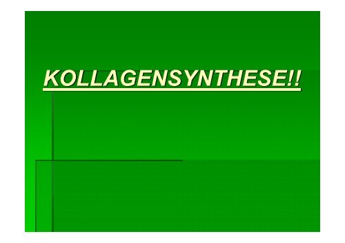 KOLLAGENSYNTHESE!!