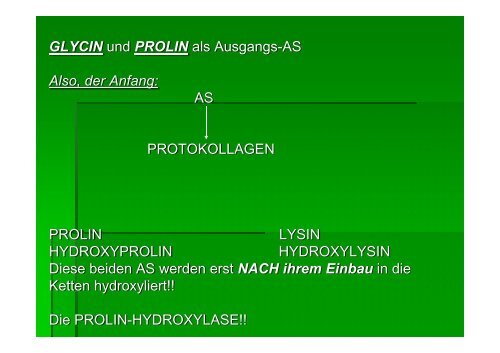 KOLLAGENSYNTHESE!!