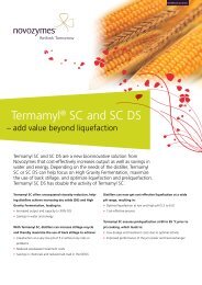 Termamyl® SC and SC DS