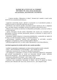 RAPORT DE ACTIVITATE AL COMISIEI METODICE PE ANUL ...