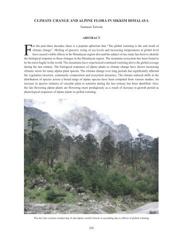 climate change and alpine flora in sikkim himalaya - ENVIS Centre ...