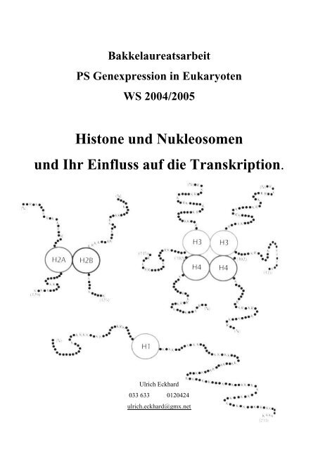 Histone und Nukleosomen und ihr Einfluss auf die - StV Biologie ...