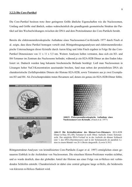 Histone und Nukleosomen und ihr Einfluss auf die - StV Biologie ...