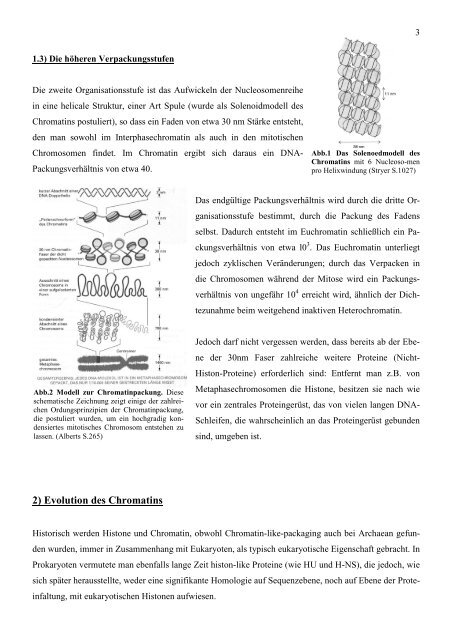 Histone und Nukleosomen und ihr Einfluss auf die - StV Biologie ...