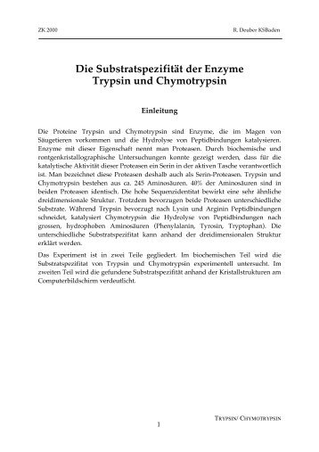 Die Substratspezifität der Enzyme Trypsin und ... - SwissEduc