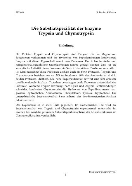 Die Substratspezifität der Enzyme Trypsin und ... - SwissEduc