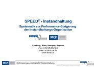 SPEED® - Instandhaltung - Dankl + Partner Consulting GmbH