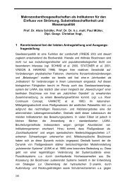 B11 (Schäfer) [pdf 201 kB, 19 Seiten]