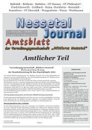 Amtlicher Teil - VG Mittleres Nessetal