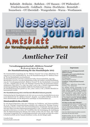 Amtlicher Teil - VG Mittleres Nessetal