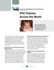 PVC Policies Across the World - Center for Health, Environment ...