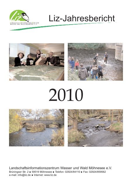 Jahresbericht 2010 - Liz