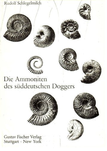 Schlegelmilch,1985 Ammoniten des sudeutschen doggers
