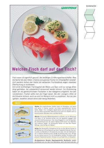 Broschüre "Welcher Fisch darf auf den Tisch?"