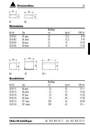 Strassenbau (PDF) - Die Silidur AG