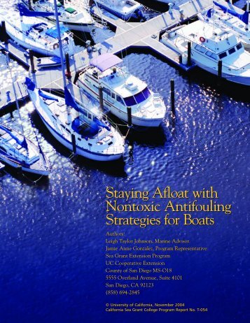 Staying Afloat with Nontoxic Antifouling Strategies for Boats Staying ...