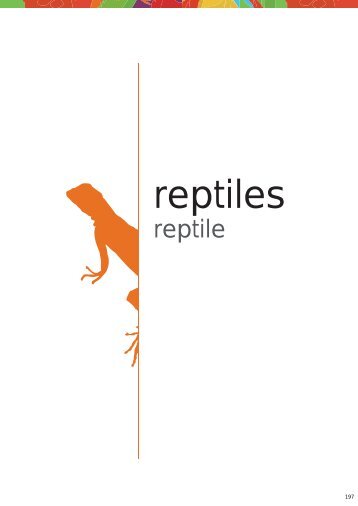 catalogo reptiles