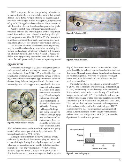 Species Profile: Pinfish, Lagodon rhomboides - SRAC Fact Sheets