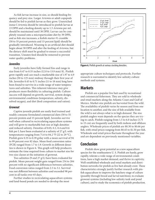 Species Profile: Pinfish, Lagodon rhomboides - SRAC Fact Sheets