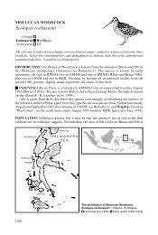 Scolopax rochussenii - BirdBase