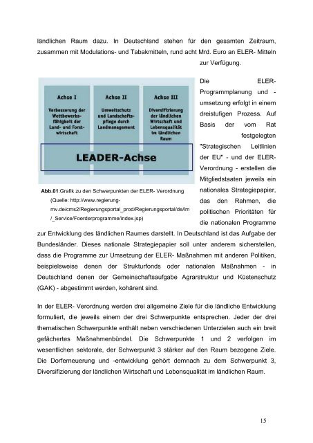 Diplomarbeit - Brungs - 2008 - Hochschule Neubrandenburg